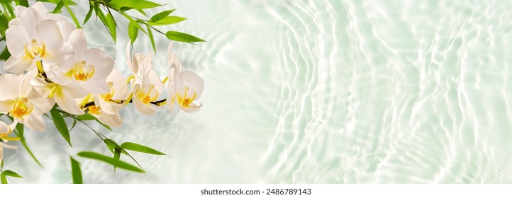 ramură de frunze de bambus verde și floare de orhidee albă peste suprafața apei ondulate în lumina soarelui, concept de banner de fundal floral cu spirit asiatic și spațiu de copiere pentru călătorii, spa de frumusețe și îngrijire corporală