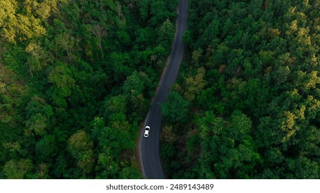 Top view of a white electric car driving  dark green forest road, which is an elevated road that surrounds natural forest. Concept of using electric cars to protect the environment and transportation.