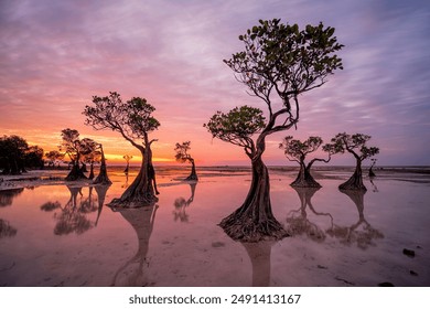 Khung cảnh hoàng hôn ở bãi biển Walakiri, đảo Sumba, Nusa Tenggara Timur, Indonesia