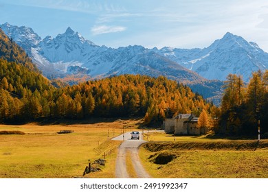 一个凉爽的秋日，一辆汽车行驶在伯尔尼纳山口的乡村公路上，背景是蓝天下的金色落叶松森林和白雪皑皑的阿尔卑斯山脉，位于瑞士格劳宾登州