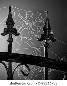 BW Gate s ranní orosenou pavučinou
