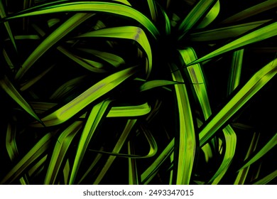 Black Futuristic background with curvy fabric ruffles and abstract layered textile shape. Modern technology background with shiny effect. Anime manga backdrop. color shades.