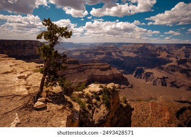 Grand Canyon National Park, North Rim. Landscape Canyon national park. Red rocks canyon in Utah.