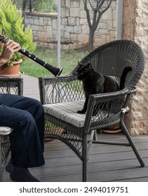 Nhạc cụ Clarinet, Một người đàn ông chơi Clarinet, Một con mèo đen ngồi trên ghế sofa đối diện anh ta, Con mèo thưởng thức âm nhạc, Một nhạc cụ hơi Clarinet, Tình yêu âm nhạc, Tình yêu động vật