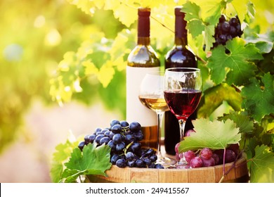 Lekkere wijn op houten vat op druivenplantage achtergrond