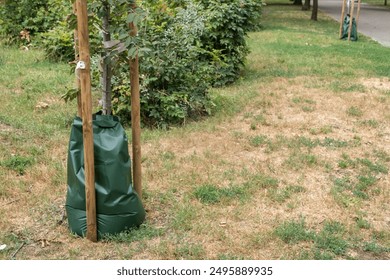 Sac d'irrigation en PVC à libération lente pour les arbres Système d'arrosage économe en eau dans le parc urbain Gros plan