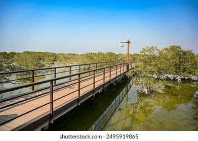 เขตอนุรักษ์ธรรมชาติป่าชายเลนในอาบูดาบี สหรัฐอาหรับเอมิเรตส์