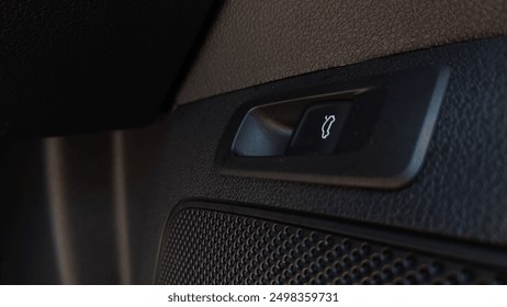Manija y controles de la puerta interior del automóvil