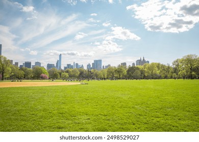 A Central Park gyepfelülete, a háttérben New York Manhattan látképével