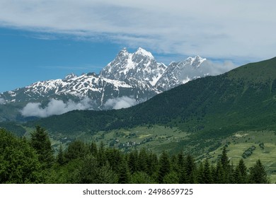 Bei sonnigem Wetter grüne Felder und schneebedeckte Hügel. Schneebedeckte Berglandschaften im Frühling in Swanetien. Herrliche Berglandschaften Georgiens.