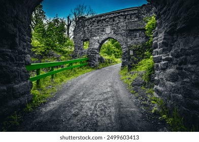 Déi verfault Ruine vum Burg Hohnstein