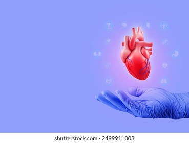 Mâna doctorului analizează inima umană izolată. Conceptul de îngrijire a inimii, ziua mondială a inimii
