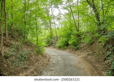 Journey on foot through uncharted roads In a rural town in the Czech Republic