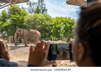 Turiștii de la Grădina Zoologică din San Diego fac fotografii cu elefanți în depărtare