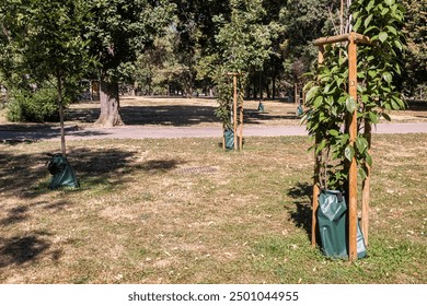 Sac d'irrigation en PVC à libération lente pour les arbres Système d'arrosage économe en eau dans le parc urbain Gros plan