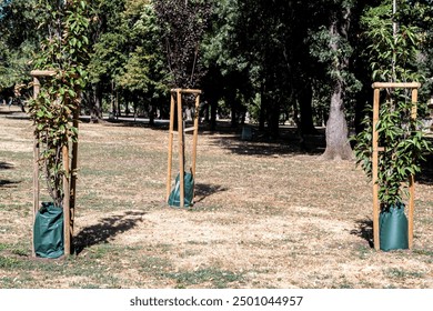 Sac d'irrigation en PVC à libération lente pour les arbres Système d'arrosage économe en eau dans le parc urbain Gros plan