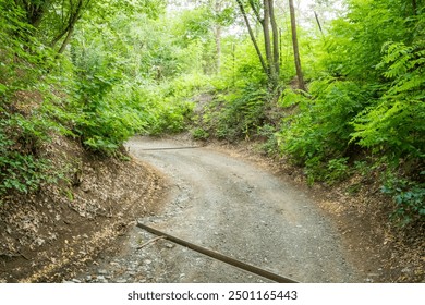 Journey on foot through uncharted roads In a rural town in the Czech Republic
