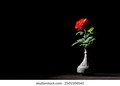 A single red rose in a ceramic vase on a wooden table, isolated against a black background. Close up, copy space