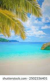 “Fuga in Paradiso: una splendida spiaggia tropicale” Immergiti nella serena bellezza di questo paradiso tropicale. La sabbia bianca incontaminata si estende sotto le palme ondeggianti, mentre il