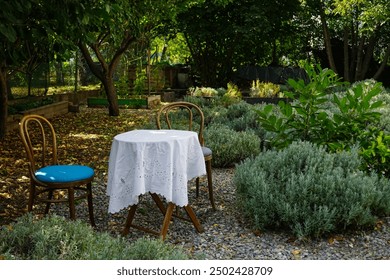 Two wooden chairs and a table with a white tablecloth in a lavender garden.