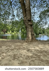 Serene urban Park St James Park bei Buckingham Palace, London, UK