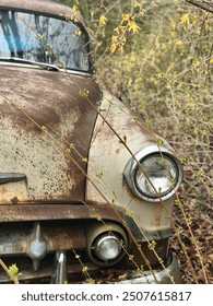 Стара ръждясала кола в гората