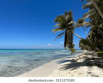 Hermosa playa perfecta con agua azul y palmeras como en las películas.