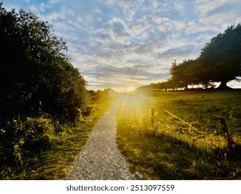 Idyllesch iresch Landschaftssiicht, e Wee an engem Bëschgebitt bei engem Sonnenënnergang.