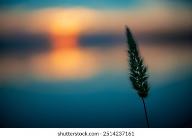 Peaceful winter scene of flooded fields prepared for rice cultivation in Isla Mayor, Seville, Spain. Soft sunset glow reflects on still waters, creating a tranquil atmosphere.