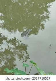 Dünyanın en güzel sahnesinin ne olduğunu biliyor musunuz? Ailedeki herkes bir sebepten dolayı birlikte güler. Bu dünyanın en tatlı sahnesidir. Yine, herkesin birlikte ağladığı sahne