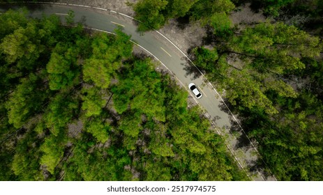 Vedere de sus a unei mașini electrice albe care conduce un drum forestier verde închis, care este un drum înalt care înconjoară pădurea naturală. Conceptul de utilizare a mașinilor electrice pentru a proteja mediul și transportul.
