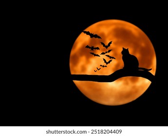 Halloween-Hintergrund mit Katzensilhouette auf einem Ast. Halloween-Nacht. Fröhliches Halloween-Banner.
