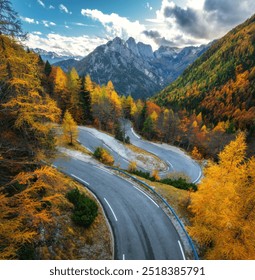 Pogled iz zraka na vijugavu planinsku cestu i šumu naranči u zlatnoj jeseni u Sloveniji. Pogled odozgo na vijugavu cestu, šareno drveće, nebo, kamenje u jesen. Prazna cesta kroz šumu. Krajolik s prometnicom