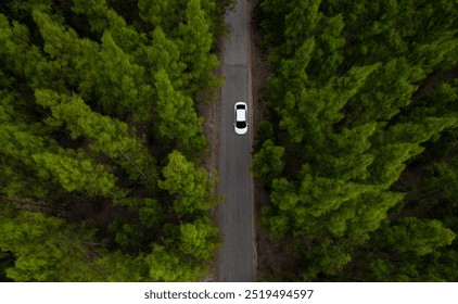 Vedere de sus a unei mașini electrice albe care conduce un drum forestier verde închis, care este un drum înalt care înconjoară pădurea naturală. Conceptul de utilizare a mașinilor electrice pentru a proteja mediul și transportul.
