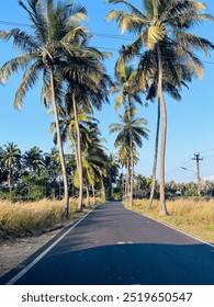 Scenertic view , zinadagi na milegi bo bara , with palm tree surrounds