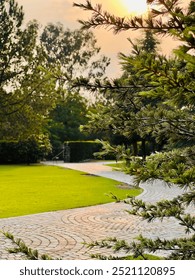 The image shows a peaceful park with greenery and a sunlit path.