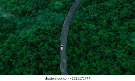Vedere de sus a unei mașini electrice albe care conduce un drum forestier verde închis, care este un drum înalt care înconjoară pădurea naturală. Conceptul de utilizare a mașinilor electrice pentru a proteja mediul și transportul.