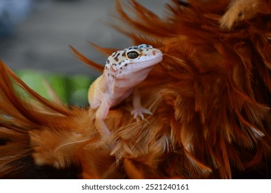 gecko in kalimantan borneo gecko, eye, dragon, vertebrate, illustration, monochrome, leopard, abstract, artistic, cartoon, art, black, vector, drawing, green, exotic, lizard, isolated, wildlife, white