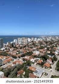 Vizija ptica iz primorskog grada, morskih zgrada i kuća, zelenih stabala