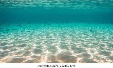 透明な水に太陽の光が反射する海底の砂地