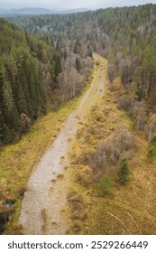 Een luchtfoto van een onverharde weg die zich een weg baant door een dicht en prachtig bos, omgeven door verschillende bomen en weelderig groen, waardoor een schilderachtig natuurlijk landschap ontstaat