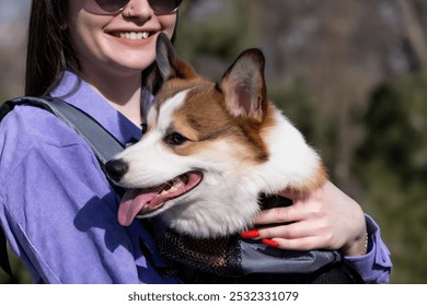 Ritratto di una bella ragazza sorridente con occhiali da sole con un cucciolo di Pembroke Welsh Corgi in uno zaino speciale sulla schiena. Passeggiata in una giornata di sole in un parco cittadino. Cagnolino felice. Concetto di cura, vita animale