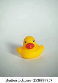 closeup of a children's toy in the form of a duck made of yellow rubber on an isolated white background