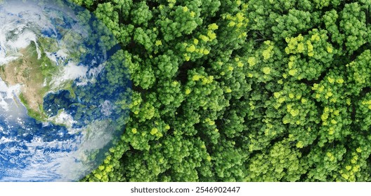 Grénge Bësch zesumme mat der Äerdglobus. Globalen Ökosystemschutz an Ëmweltschutz während der Klimakris. Bëschökosystemer a weltwäit Biodiversitéit. Äerdbild vun der NASA geliwwert.