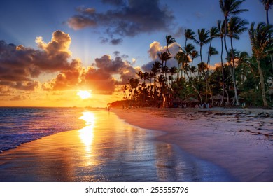Palm zandstrand zonsopgang