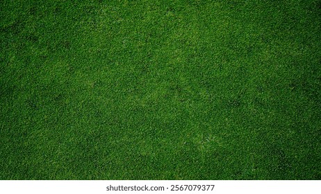 Zeleno travnato ozadje, koncept vrtne trave s pogledom od zgoraj, ki se uporablja za izdelavo zelenega ozadja, trata za športno igrišče, zeleno črtasto teksturirano ozadje trate za golf