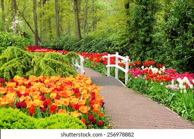Pasarela a través de flores de primavera en los jardines de Keukenhof, Países Bajos
