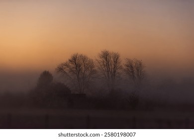 Matahari terbit subuh pagi abstrak kabus gelap tebal di atas pokok hutan, pagar pada pemandangan landskap musim luruh musim luruh di Indiana