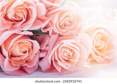 Feliz Dia das Mães, natureza morta romântica, Dia da Mulher, cartão de felicitações. Feliz aniversário. Delicadas rosas cor-de-rosa em uma luz suave e onírica. Evoca beleza, amor e elegância. Tons pastel e fundo desfocado.