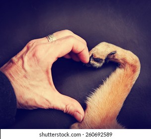 レトロなビンテージ instagram フィルター効果アプリまたはアクションでトーンの手と足でハートの形を作る人と犬の背景